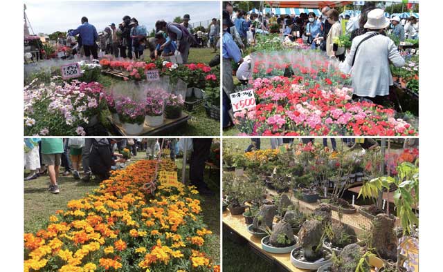  緑と花に心癒される　江戸川春のショートトリップ　