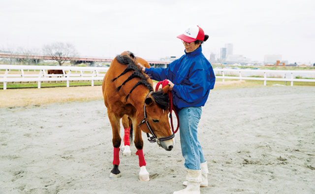 公益財団法人 えどがわ環境財団　獣医師 朝比奈正子さん特集