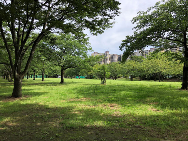 浦安で楽しむ夏休み～涼スポット～特集