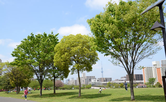 区内でアウトドア満喫　バーベキューができる公園