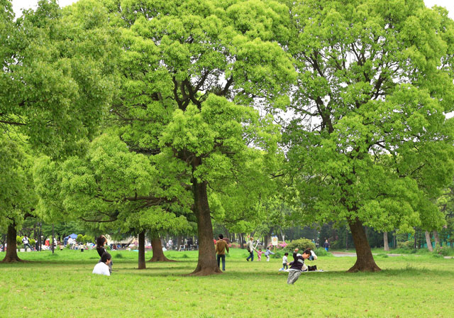 区内でアウトドア満喫　バーベキューができる公園特集