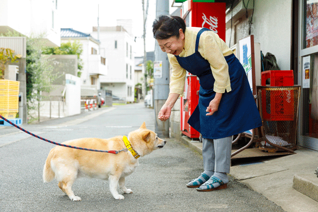 重兵衛商店　内田朋子さん特集