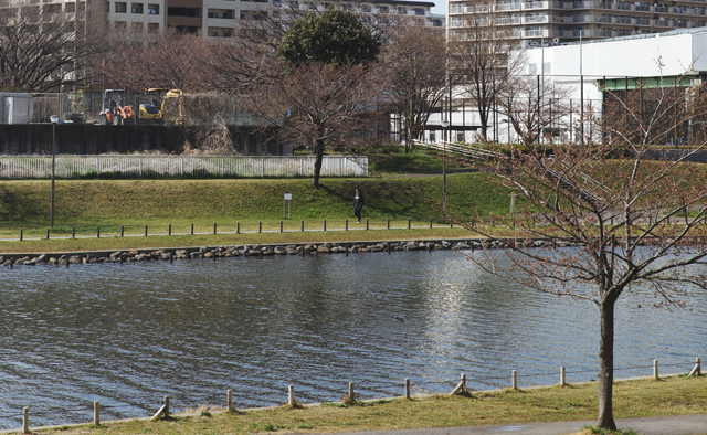 公園で楽しむ休日～大島小松川公園～特集