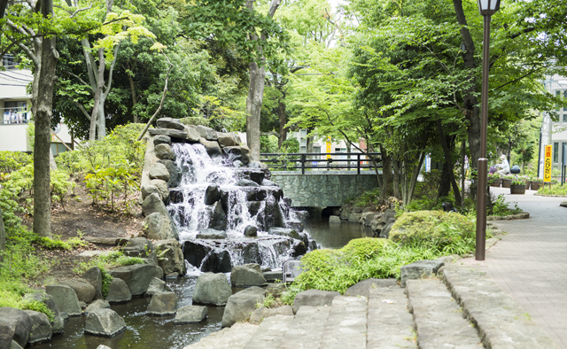 新しくなった公園で遊ぼう①特集