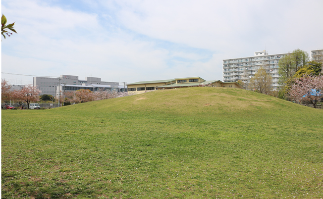 公園ピクニック「若洲公園＆交通公園」