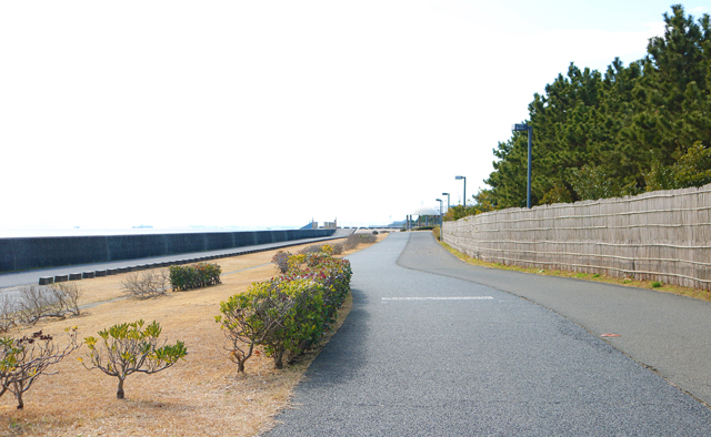 春のおさんぽへ　新浦安～総合公園①特集