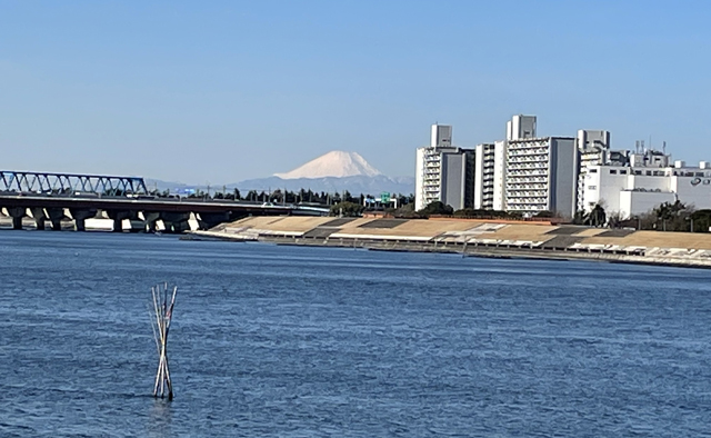 春のおさんぽへ　浦安駅～舞浜駅①特集