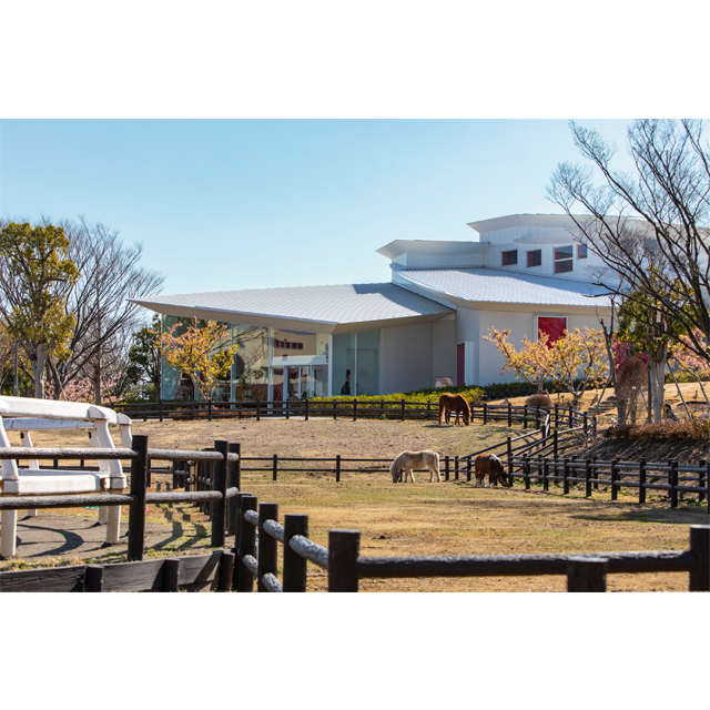 草花や動物に癒される ぽかぽか公園さんぽ「なぎさ公園」