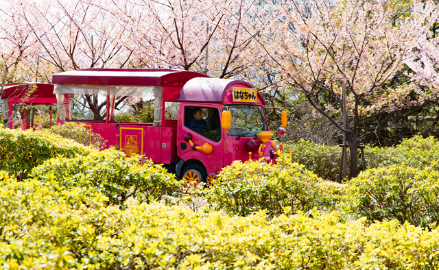 草花や動物に癒される ぽかぽか公園さんぽ「なぎさ公園」特集