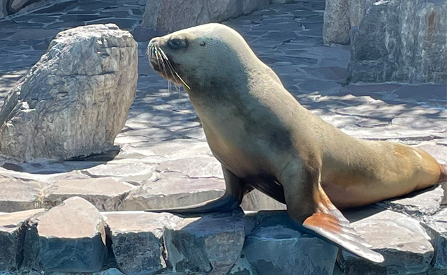 草花や動物に癒される ぽかぽか公園さんぽ「行船公園」