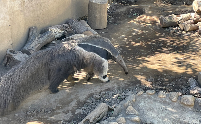 草花や動物に癒される ぽかぽか公園さんぽ「行船公園」特集