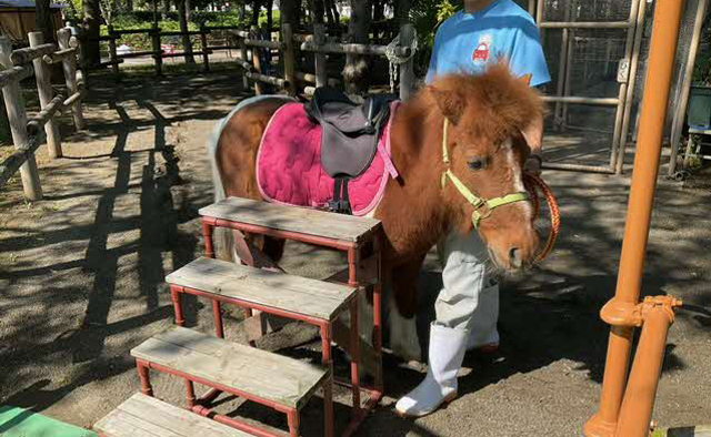 いろいろな体験ができるスポット＆公園案内「浦安市交通公園・若潮公園」特集