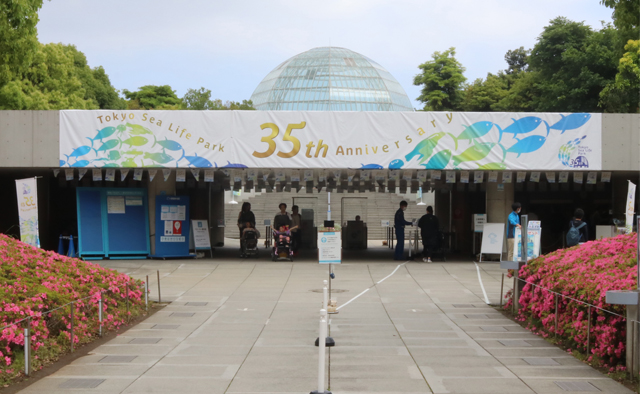 涼しく楽しむ夏のおでかけ「葛西臨海水族園」