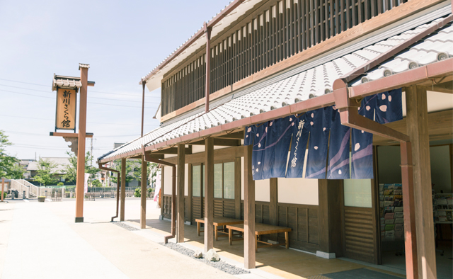 涼しく楽しむ夏のおでかけ「新川さくら館」