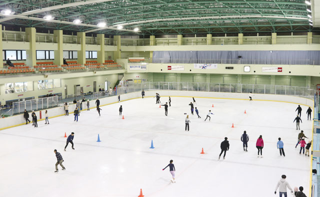 アクティビティを楽しむ休日「アイススケート」江戸川区スポーツランド スケートリンク