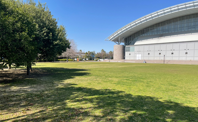 大人も子供も楽しめるお出かけ案内〈浦安市運動公園･バルドラール浦安アリーナ〉特集