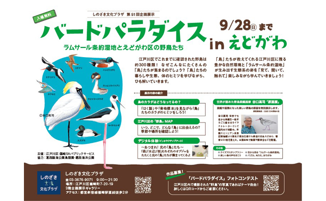 しのざき文化プラザ　バードパラダイス in えどがわ～ラムサール条約湿地と江戸川区の野鳥たち～