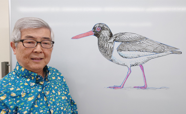 しのざき文化プラザ　バードパラダイス in えどがわ～ラムサール条約湿地と江戸川区の野鳥たち～特集