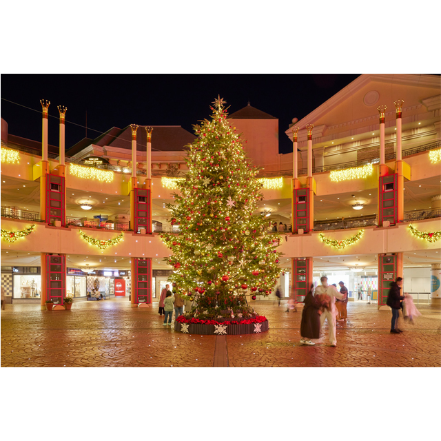 季節のお役立ち情報～クリスマスイベント～