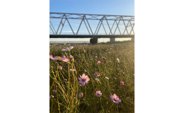 えどがわ推しPR隊が発見！「わたしの癒しスポット」vol.1特集