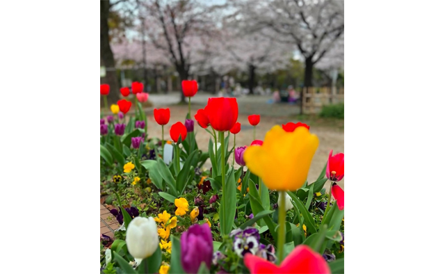 えどがわ推しPR隊が発見！「わたしの癒しスポット」vol.1特集