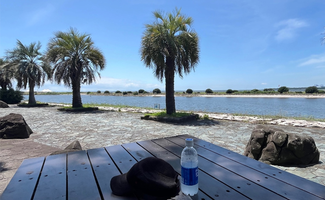 えどがわ推しPR隊が発見！「わたしの癒しスポット」vol.1特集