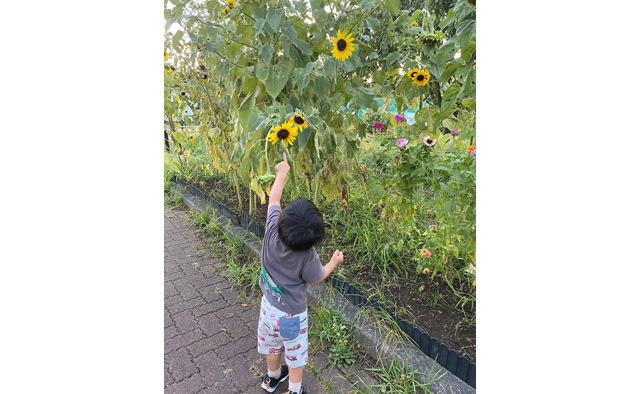 えどがわ推しPR隊が発見！「わたしの癒しスポット」vol.2特集