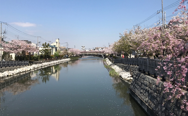 えどがわ推しPR隊が発見！「わたしの癒しスポット」vol.2特集