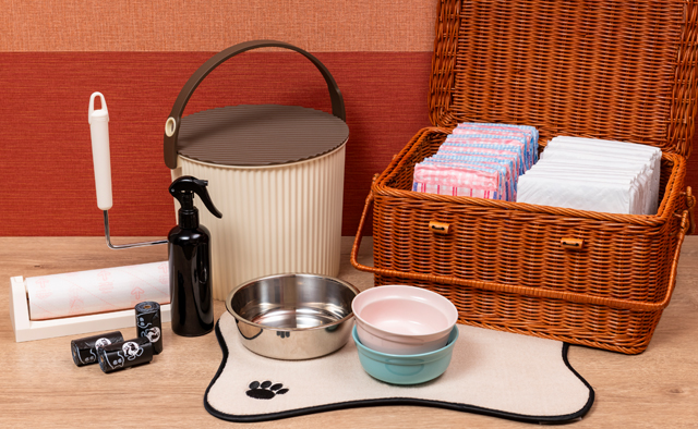 三井ガーデンホテルプラナ東京ベイ　愛犬と一緒にゆったりホテルステイ特集