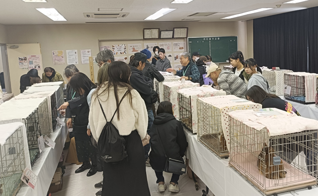 えどねこ　亀井靖子さん　山本紗美里さん　特集