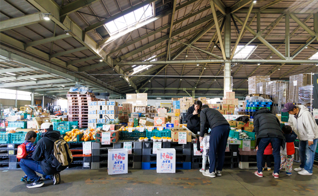 浦安・市川のマルシェへ〈いちかわごちそうマルシェ〉特集