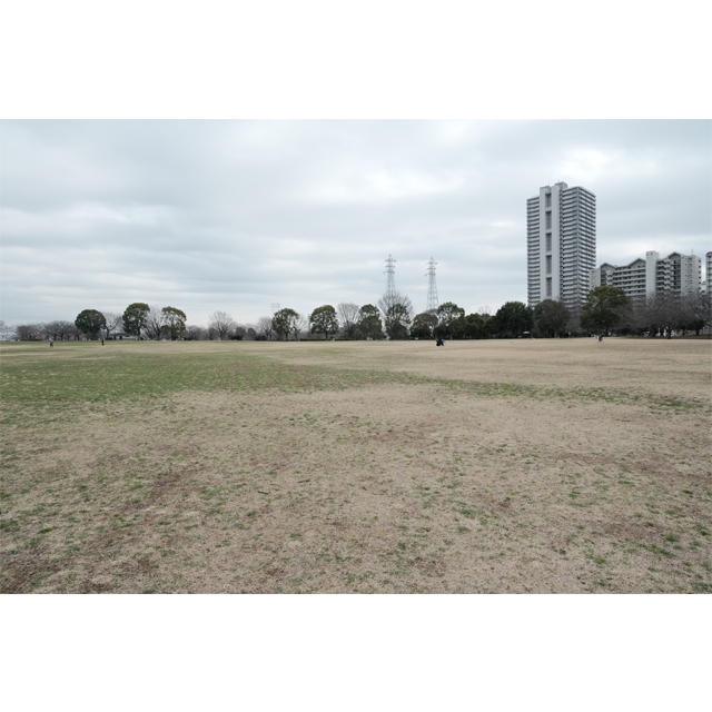 のんびり公園さんぽ〈大島小松川公園エリア〉