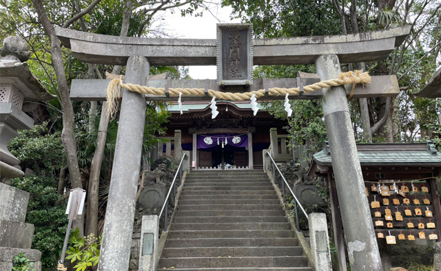 のんびり公園さんぽ〈篠崎公園エリア〉特集