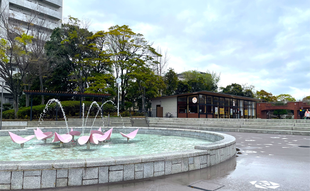 のんびり公園さんぽ〈富士公園・フラワーガーデンエリア〉
