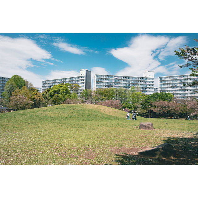 休日は癒しの公園で〈浦安市交通公園・若潮公園〉