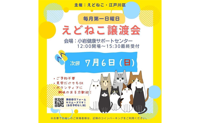 江戸川区、えどねこが主催する「ねこちゃんの譲渡会」