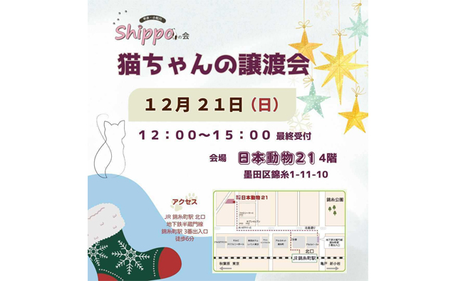えどねこ譲渡会が12月21日(日)墨田区で開催