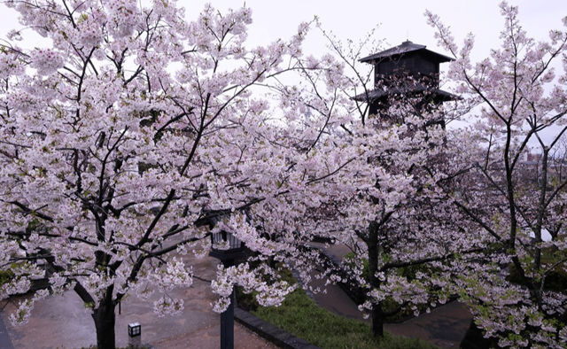 「えどがわ百景写真展」をタワーホール船堀で開催