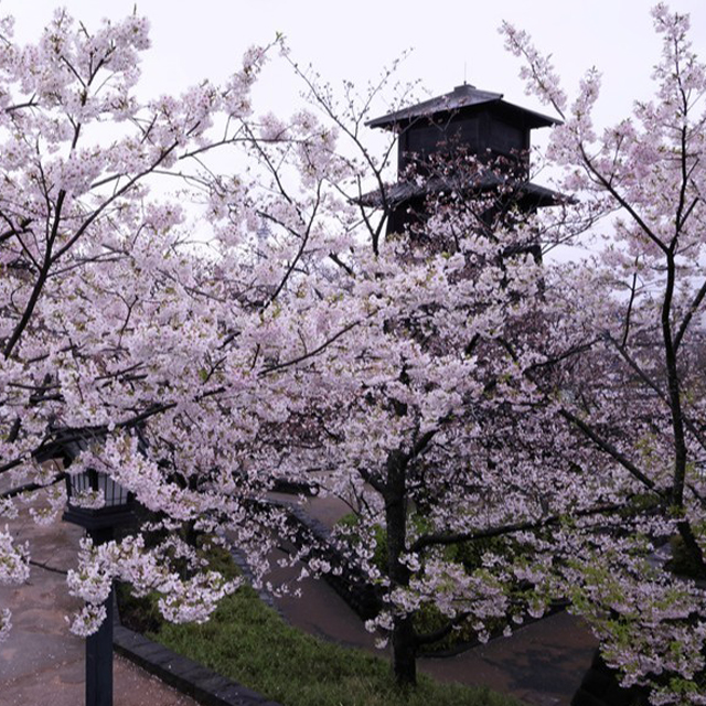 「えどがわ百景写真展」をタワーホール船堀で開催