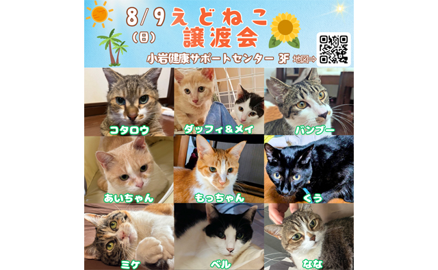8/9(日)「えどねこ」による保護猫の譲渡会