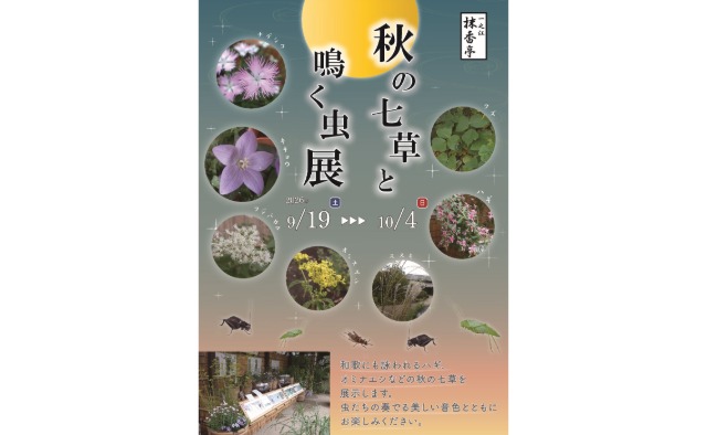 一之江抹香亭にて「秋の七草と鳴く虫展」が開催