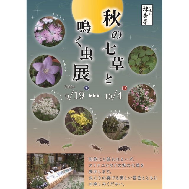 一之江抹香亭にて「秋の七草と鳴く虫展」が開催