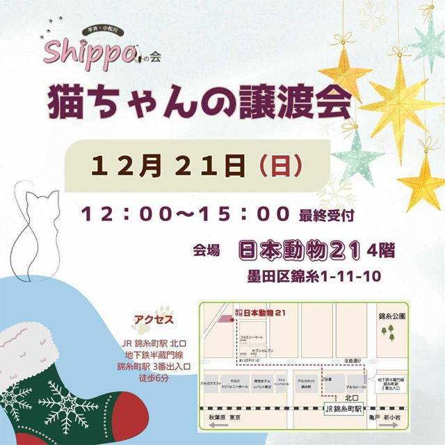 えどねこ譲渡会が11月9日(日)と12月21日(日)墨田区で開催